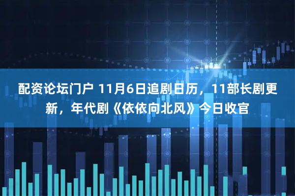 配资论坛门户 11月6日追剧日历，11部长剧更新，年代剧《依依向北风》今日收官