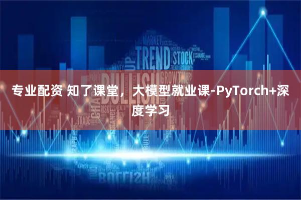 专业配资 知了课堂，大模型就业课-PyTorch+深度学习